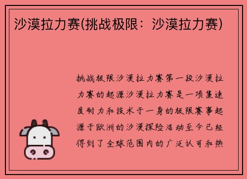沙漠拉力赛(挑战极限：沙漠拉力赛)